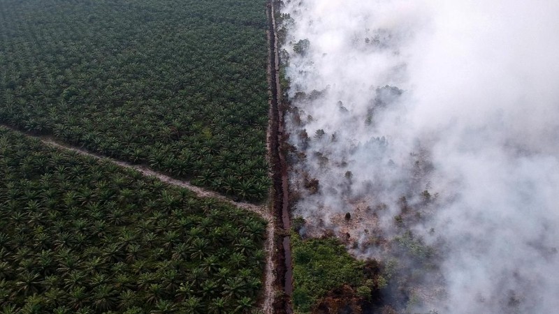 Presiden Jokowi sempat mengancam soal pemecatan petinggi TNI dan Polri soal kebakaran hutan dan lahan yang masih terjadi.