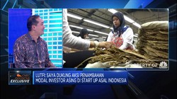 Tarik Investor Asing, Indonesia Harus Perluas FTA
