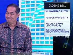 Ini Pandangan Mantan Bos BKPM Soal Potensi Investasi