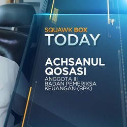 Eksklusif! BPK Ungkap Rekomendasi Soal Lapkeu Garuda ke DPR