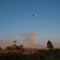 Perlu Pesawat Khusus Atasi Karhutla, Jokowi: Heli Masih Bisa