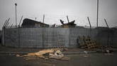 Beberapa peristiwa penusukan dilaporkan terjadi karena spontan dan tidak mempunyai alasan khusus yang memicu perbuatan itu. (REUTERS/Phil Noble)