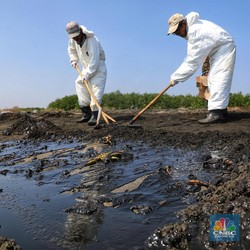 Tumpahan Minyak, Tak Lama Lagi Sumber Kebocoran Bisa Ditutup