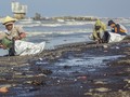 Beri Kompensasi Tumpahan Minyak, Pertamina Bentuk Komite