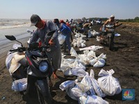 Pertamina Angkut 4900 Ton Tumpahan Minyak di Pantai Karawang