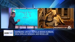 Melirik Cuan Bisnis Hewan Kurban