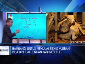 Melirik Cuan Bisnis Hewan Kurban
