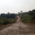 Catat Nih! 3 Jalur Baru Puncak yang Sedang Disiapkan