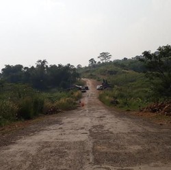 Catat Nih! 3 Jalur Baru Puncak yang Sedang Disiapkan