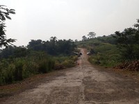 Catat Nih! 3 Jalur Baru Puncak yang Sedang Disiapkan
