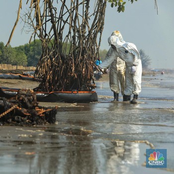 Ini Penampakan Oil Boom yang Halau Tumpahan Minyak Karawang