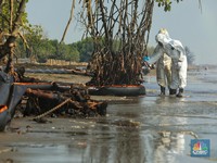 Ini Penampakan Oil Boom yang Halau Tumpahan Minyak Karawang