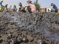 FOTO: Kerja Keras Bersihkan Tumpahan Minyak di Karawang