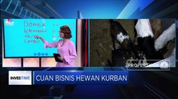 Hitung Modal Awal Bisnis Hewan Kurban
