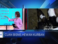 Hitung Modal Awal Bisnis Hewan Kurban