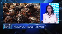 Permintaan CPO Terganggu, GAPKI Cari Pasar Baru