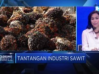 Permintaan CPO Terganggu, GAPKI Cari Pasar Baru
