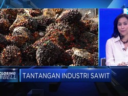 Permintaan CPO Terganggu, GAPKI Cari Pasar Baru