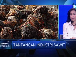 Permintaan CPO Terganggu, GAPKI Cari Pasar Baru