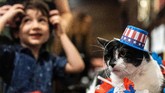 Alice DeAlmeida, kepala petugas kucing di Hotel Algonquin mengatakan bahwa penggalangan dana untuk aliansi program walikota untuk adopsi hewan di NYC. (REUTERS/Jeenah Moon)