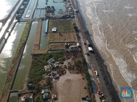 Pemulihan Dampak Tumpahan Minyak Pertamina Sampai Tahun Depan