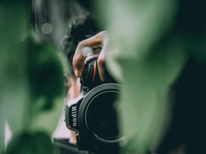 Foto Bule Sedang Berjemur, Fotografer Diprotes Staf Hotel
