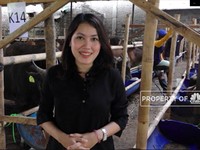 Perhatikan Ini Jika Mau Berbisnis Hewan Kurban