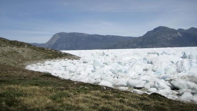 Trump Benar? Data Sebut Separuh Penduduk Greenland Ingin Gabung AS