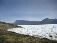 Trump Benar? Data Sebut Separuh Penduduk Greenland Ingin Gabung AS
