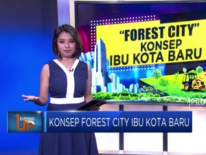 Konsep Forest City Ibu Kota Baru