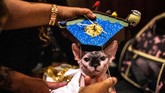 Tema fashion show kali ini adalah ‘It’s A Small World. (REUTERS/Jeenah Moon)