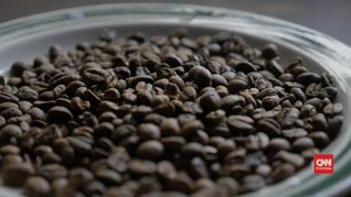 VIDEO: Kebun Kopi 'Tersembunyi' di Nigeria