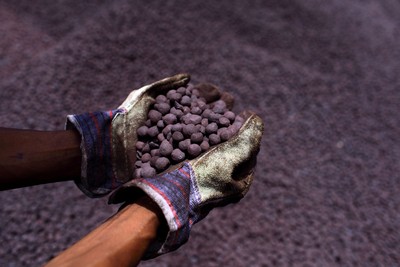 FILE PHOTO: A worker holds iron ore at the Krakatau Bandar Samudra port, a subsidiary of PT Krakatau Steel Tbk in Cilegon, Indonesia's Banten province February 21, 2013. REUTERS/Beawiharta/File Photo