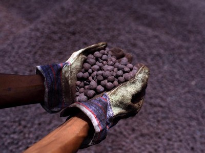FILE PHOTO: A worker holds iron ore at the Krakatau Bandar Samudra port, a subsidiary of PT Krakatau Steel Tbk in Cilegon, Indonesia's Banten province February 21, 2013. REUTERS/Beawiharta/File Photo