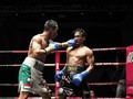 Daud Yordan Rebut Gelar Juara Dunia Usai Menang TKO
