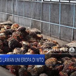 RI Yakin Menangi Sengketa Biodiesel dengan Uni Eropa
