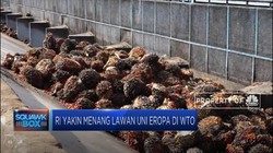 RI Yakin Menangi Sengketa Biodiesel dengan Uni Eropa