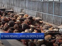 RI Yakin Menangi Sengketa Biodiesel dengan Uni Eropa