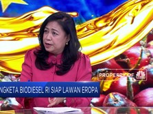 CPO Devisa No 1, Pemerintahan Siap Lawan Uni Eropa