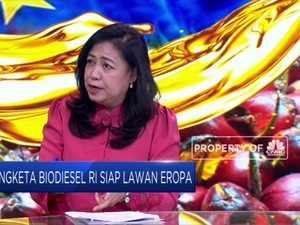 CPO Devisa No 1, Pemerintahan Siap Lawan Uni Eropa