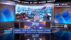 Ekonom : Riskan Jika PLN Monopoli Sistem Kelistrikan