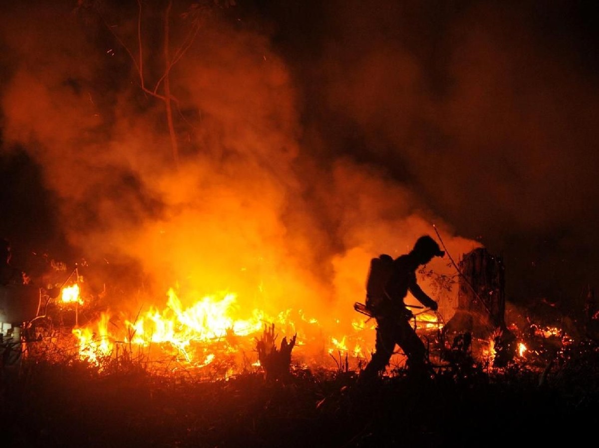 Dampak Deforestasi Hutan Tropis: Ribuan Kematian dan Risiko Kesehatan di Indonesia