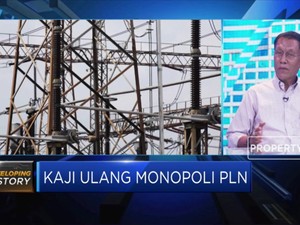 Dewan Energi Nasional: Sulit jika PLN Tidak Monopoli