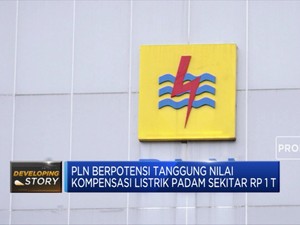 PLN Berpotensi Tanggung Kompensasi Listrik Padam Rp 1 T