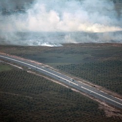 Tanah Bakal Kena Pajak Progresif, Pengembang Protes