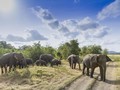 6 Tips Aman Bertualang di Taman Nasional