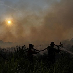 Pelajaran Pahit!  Riau Pernah 'Lumpuh' Karena Polusi Udara