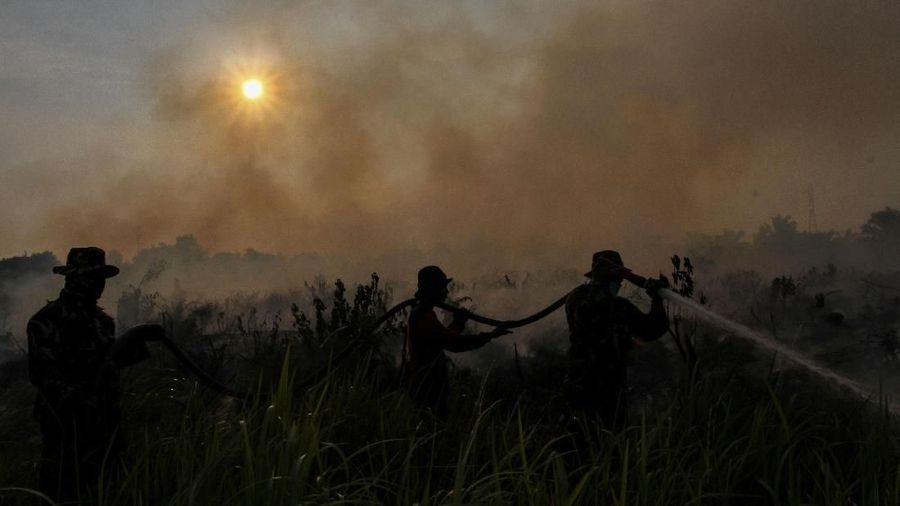 Indonesian soldiers are seen amidst smoke as they try to extinguish a peatlands fire in Pekanbaru, Riau province, Indonesia, August 3, 2019 in this photo taken by Antara Foto. Picture taken August 3, 2019  Antara Foto/Rony Muharrman via REUTERS