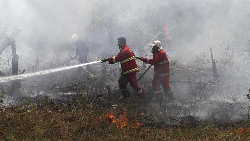 Presiden Jokowi sempat mengancam soal pemecatan petinggi TNI dan Polri soal kebakaran hutan dan lahan yang masih terjadi.
