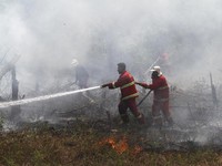 LIVE NOW! Benarkah Indonesia Darurat (Lagi) Kebakaran Hutan?
